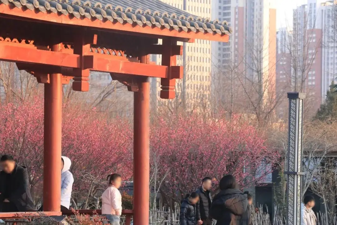 假期 “余额” 仅剩最后一天！菏泽这几处宝藏打卡地，再不去就错过啦！_假期 “余额” 仅剩最后一天！菏泽这几处宝藏打卡地，再不去就错过啦！_