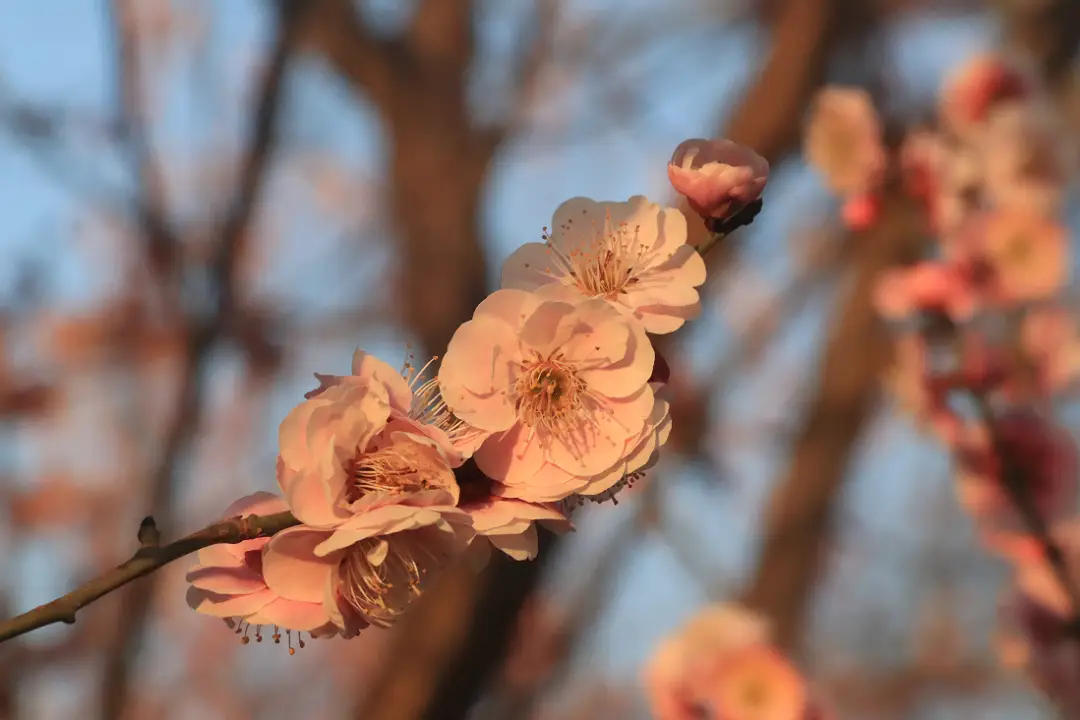 假期 “余额” 仅剩最后一天！菏泽这几处宝藏打卡地，再不去就错过啦！_假期 “余额” 仅剩最后一天！菏泽这几处宝藏打卡地，再不去就错过啦！_