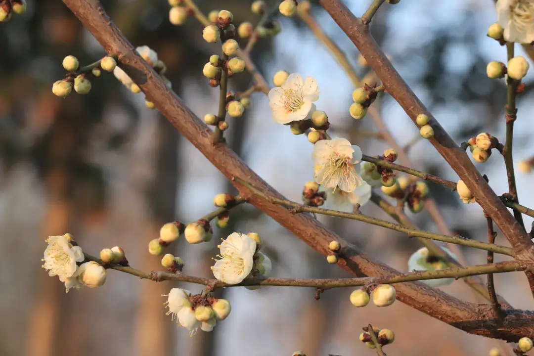 假期 “余额” 仅剩最后一天！菏泽这几处宝藏打卡地，再不去就错过啦！__假期 “余额” 仅剩最后一天！菏泽这几处宝藏打卡地，再不去就错过啦！