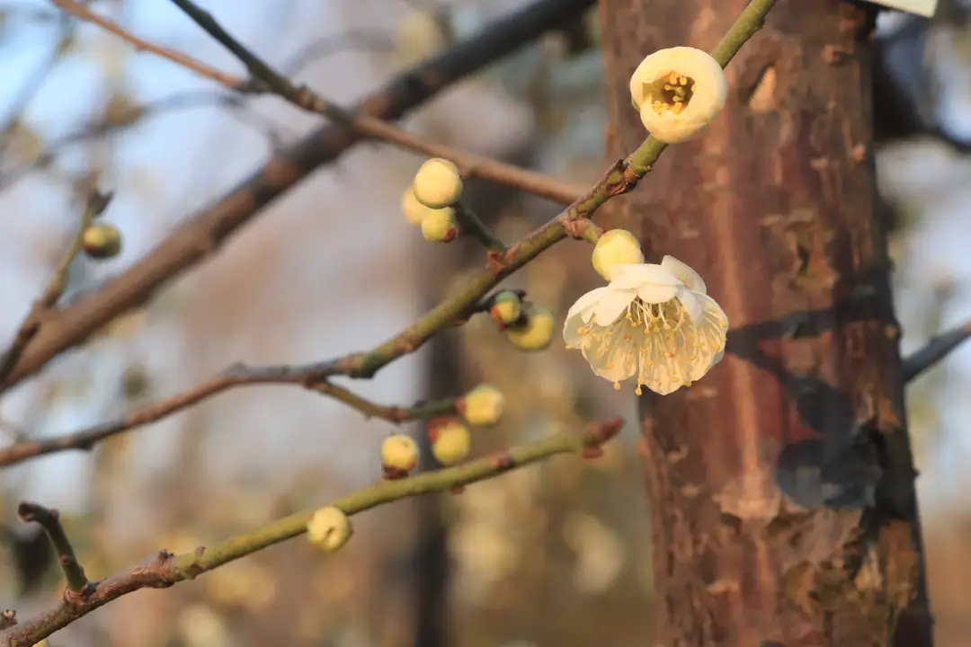 假期 “余额” 仅剩最后一天！菏泽这几处宝藏打卡地，再不去就错过啦！__假期 “余额” 仅剩最后一天！菏泽这几处宝藏打卡地，再不去就错过啦！