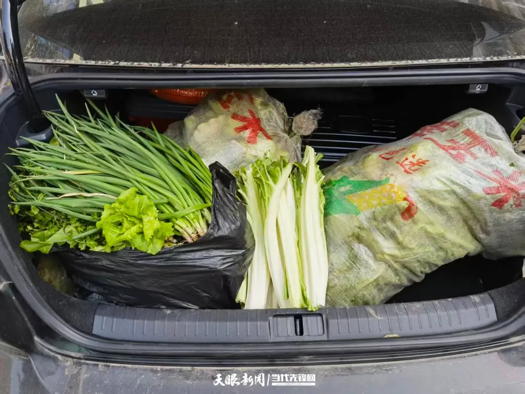 _离家的行囊，装满“再出发”的底气_离家的行囊，装满“再出发”的底气