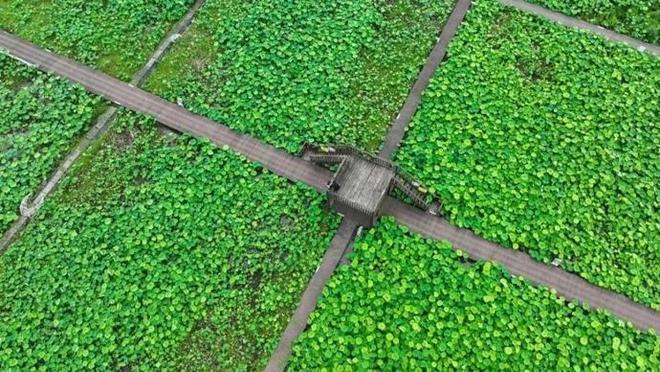 上海芙蓉会文化传播有限公司__上海芙蓉园地址