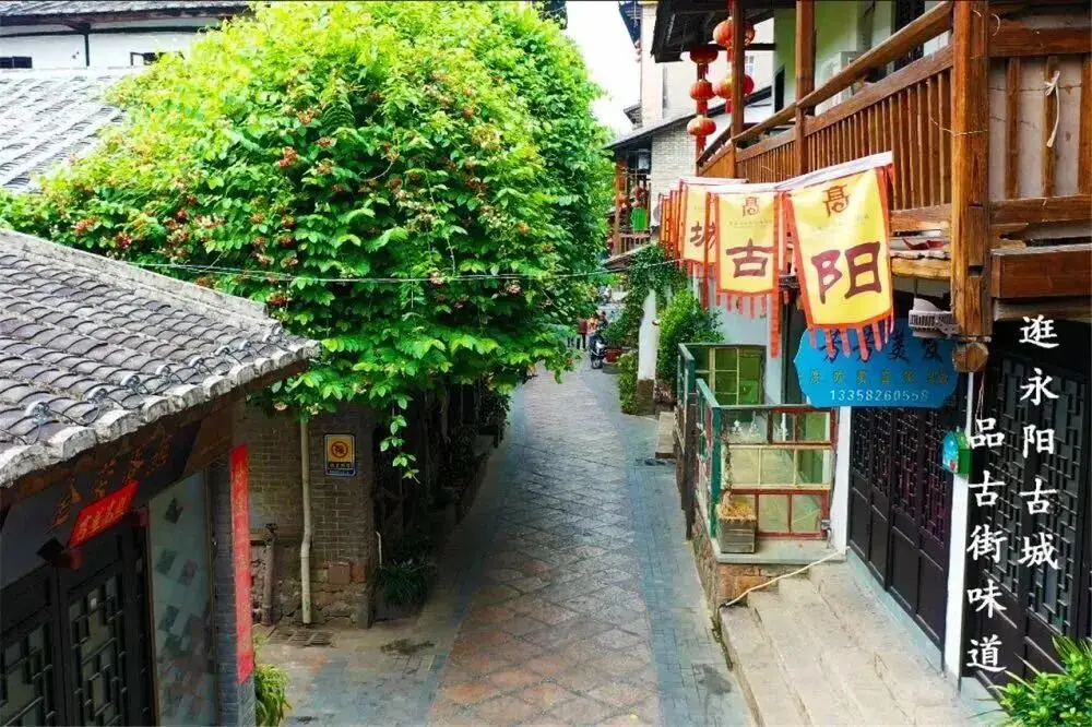 _踏春寻福记—第七站｜永泰，古巷有韵，云端有景，乡野有诗_踏春寻福记—第七站｜永泰，古巷有韵，云端有景，乡野有诗