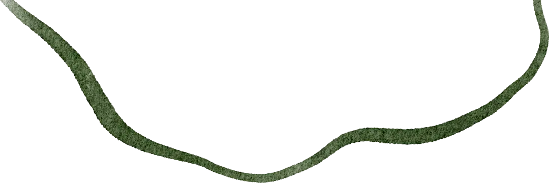 央视镜头聚焦温州水文化遗产