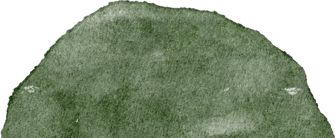 南海网网友镜头聚焦__央视焦点访谈聚焦东莞