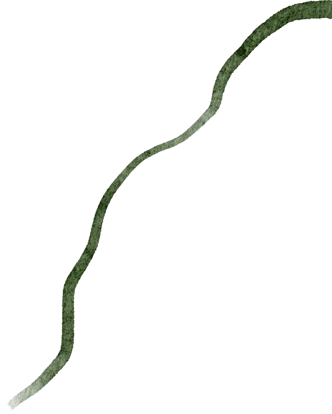 央视焦点访谈聚焦东莞__南海网网友镜头聚焦