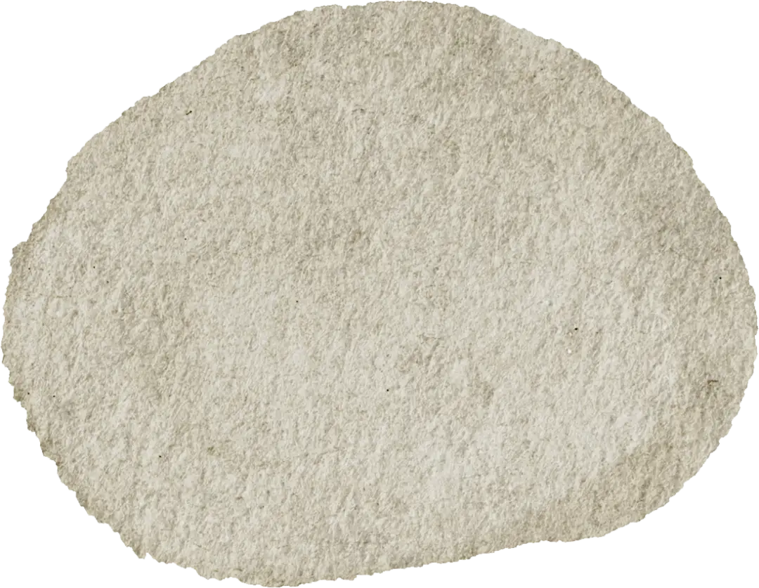 南海网网友镜头聚焦__央视焦点访谈聚焦东莞