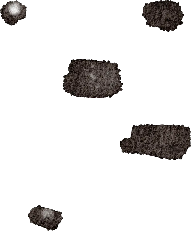 央视焦点访谈聚焦东莞_南海网网友镜头聚焦_