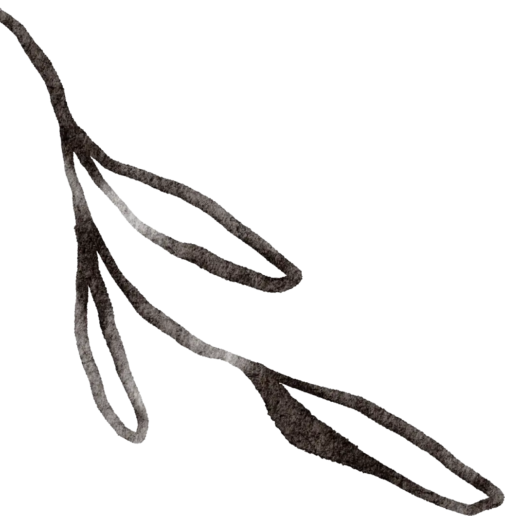 南海网网友镜头聚焦__央视焦点访谈聚焦东莞