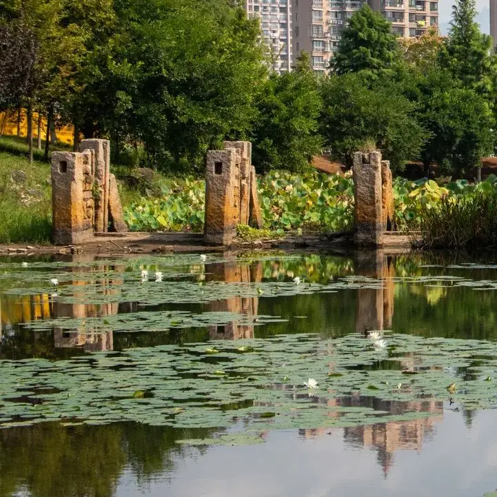 _南海网网友镜头聚焦_央视焦点访谈聚焦东莞