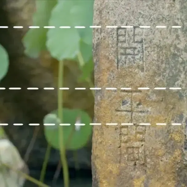 _央视焦点访谈聚焦东莞_南海网网友镜头聚焦