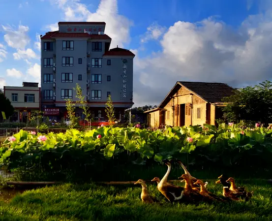 _正月十一至十三,来东源上莞追龙!吃住游攻略请收好_正月十一至十三,来东源上莞追龙!吃住游攻略请收好