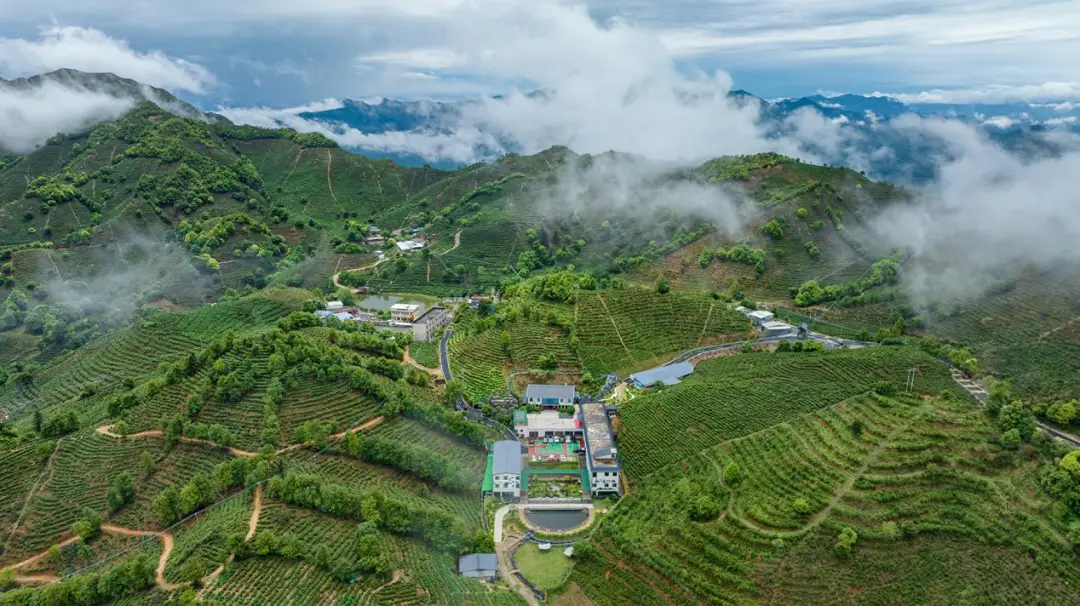 正月十一至十三,来东源上莞追龙!吃住游攻略请收好_正月十一至十三,来东源上莞追龙!吃住游攻略请收好_