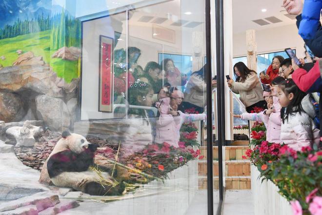 气象冰雪怎么形成的_冰雪气候_