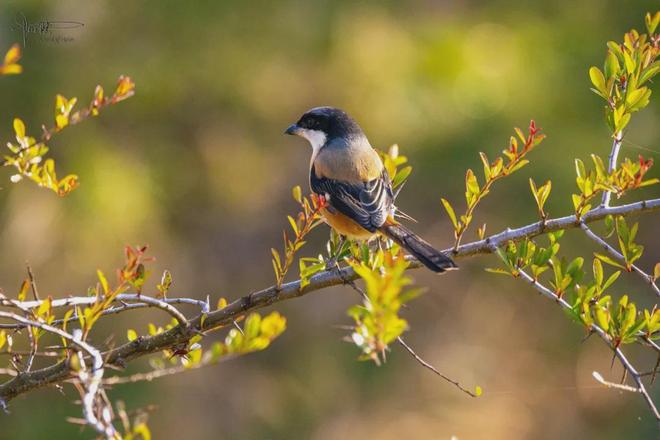 _古镇江边风景速写_古镇很美