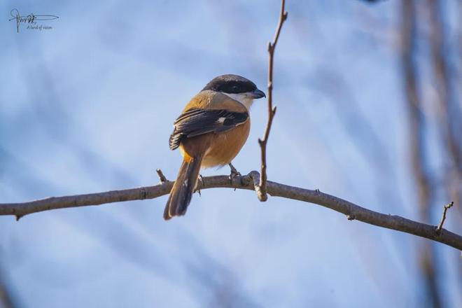 古镇江边风景速写_古镇很美_