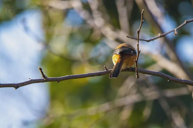 古镇江边风景速写_古镇很美_