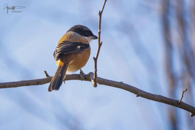 古镇江边风景速写__古镇很美