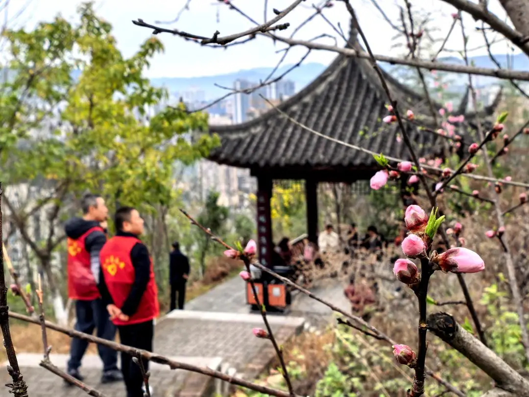 单日超30万人次参与!“元九登高”为啥这么火?_单日超30万人次参与!“元九登高”为啥这么火?_