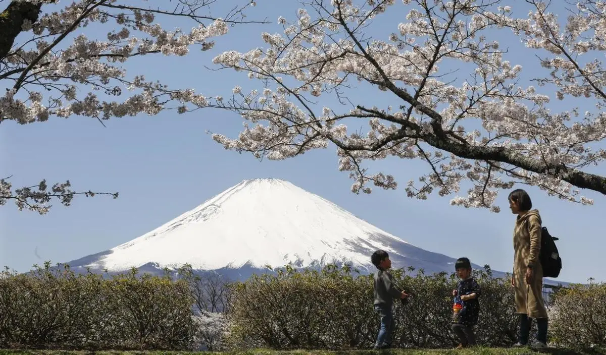 百货大楼为什么倒闭__百货大楼视频