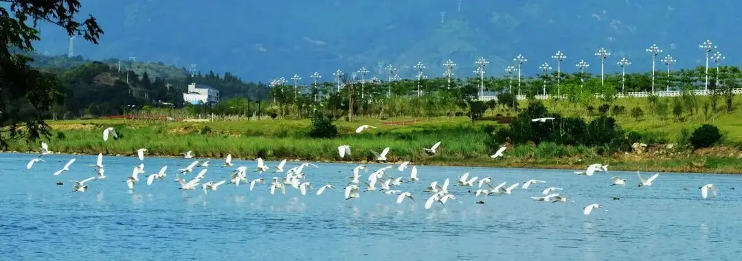 _踏春寻福记—第七站|永泰,古巷有韵,云端有景,乡野有诗_踏春寻福记—第七站|永泰,古巷有韵,云端有景,乡野有诗