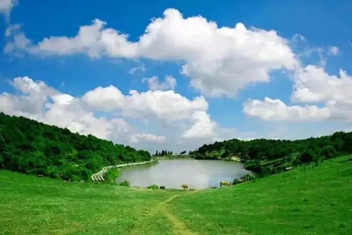 _踏春寻福记—第七站|永泰,古巷有韵,云端有景,乡野有诗_踏春寻福记—第七站|永泰,古巷有韵,云端有景,乡野有诗