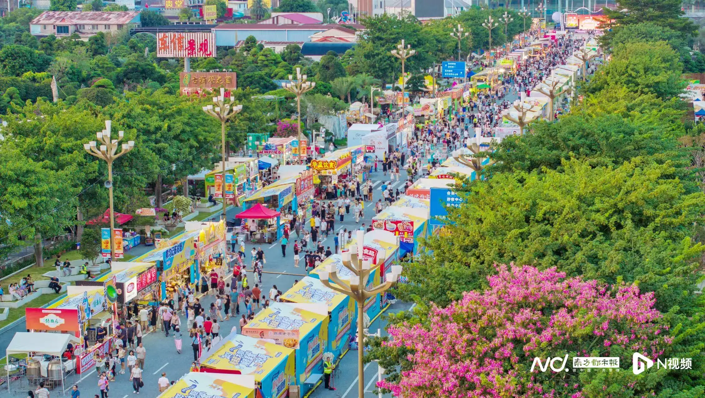 _春节顺德自由行攻略_顺德春节游玩