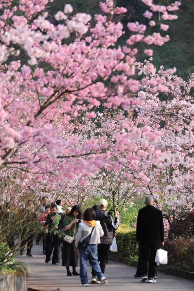 春节客流量超300万人次，营业额近3亿！四川泸州江阳消费市场“热辣滚烫”_春节客流量超300万人次，营业额近3亿！四川泸州江阳消费市场“热辣滚烫”_