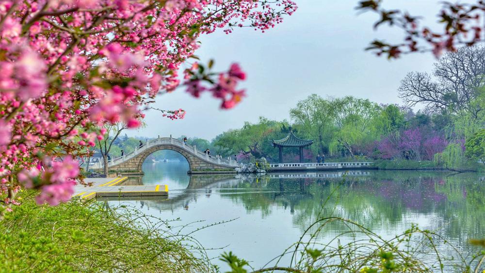 烟花三月下扬州，赏不赏花无所谓，搓澡才是正经事