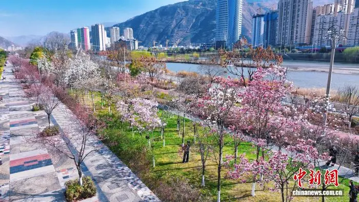 _甘肃武都：春日赏花正当时_甘肃武都：春日赏花正当时