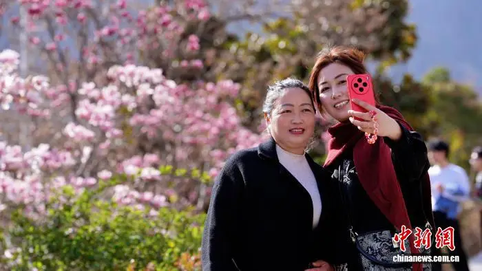 甘肃武都：春日赏花正当时__甘肃武都：春日赏花正当时