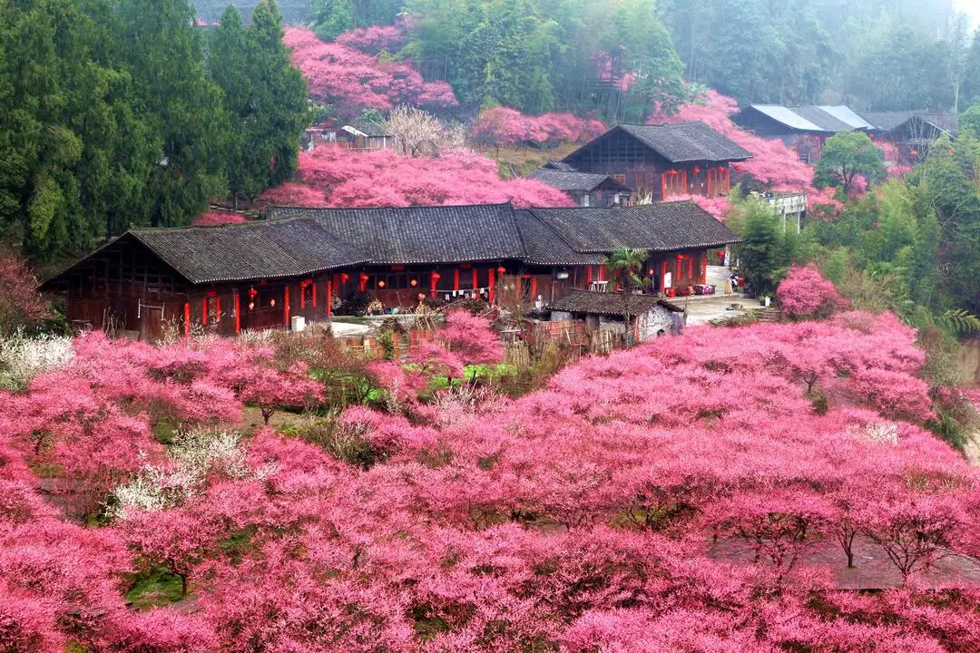 古风情书许一世柔情_已签约但未拨备的资本承诺_