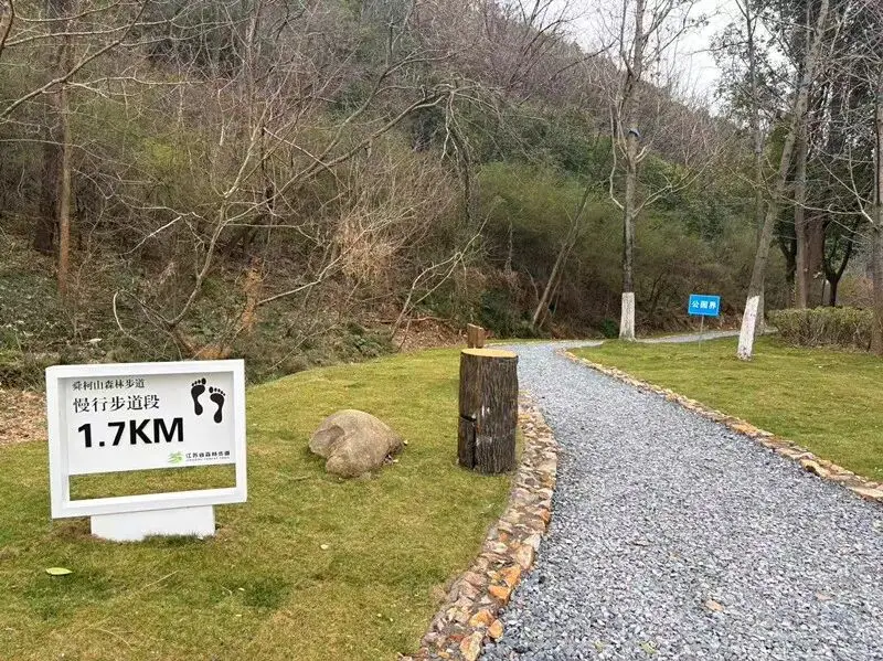 无锡最美步道__无锡森林公园在哪个位置