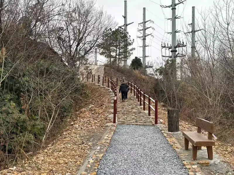 无锡最美步道_无锡森林公园在哪个位置_