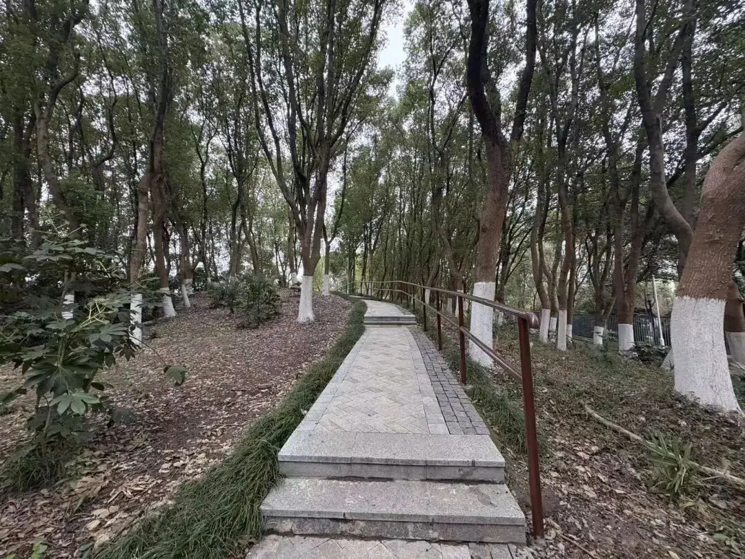 无锡森林公园在哪个位置_无锡最美步道_