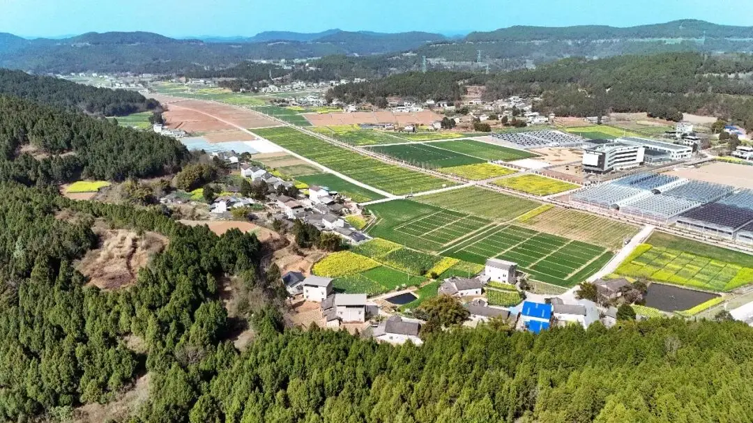 绵阳日落图片_绵阳春游踏青的地方_
