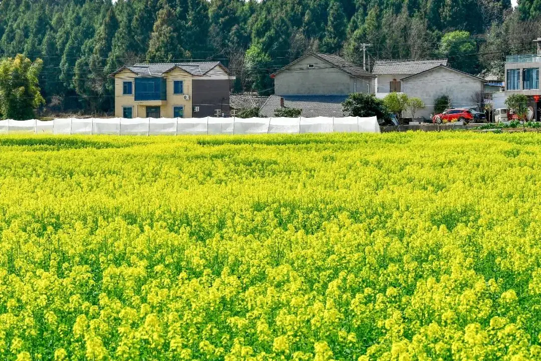 绵阳日落图片__绵阳春游踏青的地方