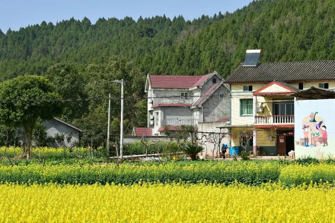 绵阳春游踏青的地方__绵阳日落图片