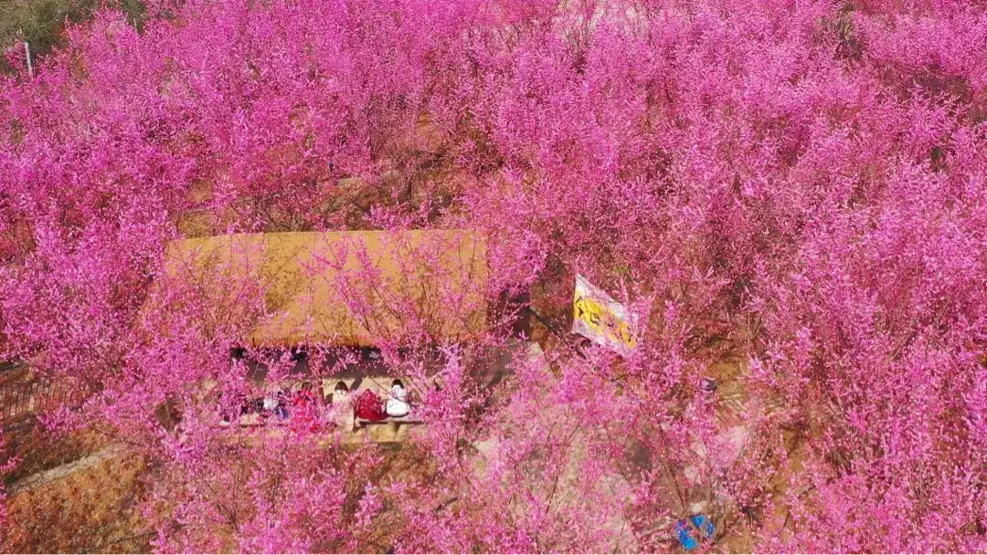 _绵阳日落图片_绵阳春游踏青的地方