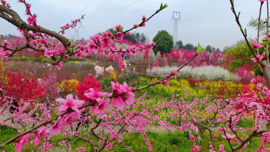 绵阳日落图片_绵阳春游踏青的地方_