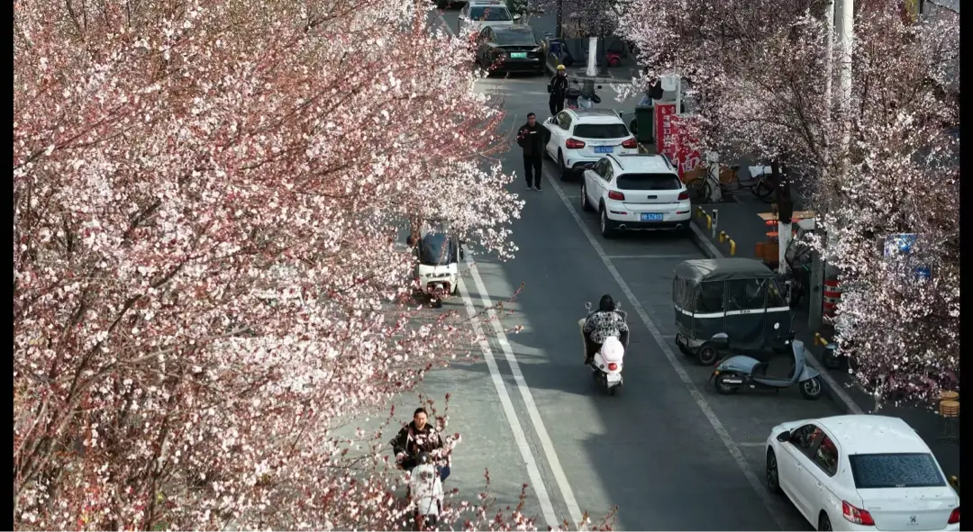绵阳春游踏青的地方__绵阳日落图片