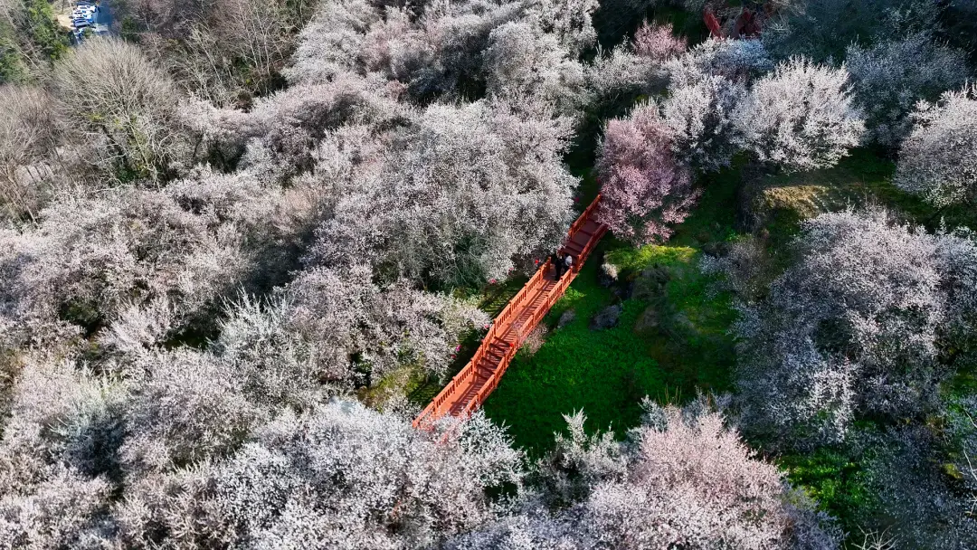 _绵阳日落图片_绵阳春游踏青的地方