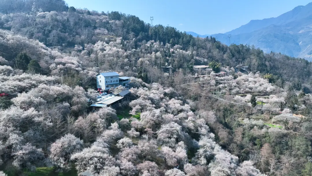 绵阳春游踏青的地方__绵阳日落图片