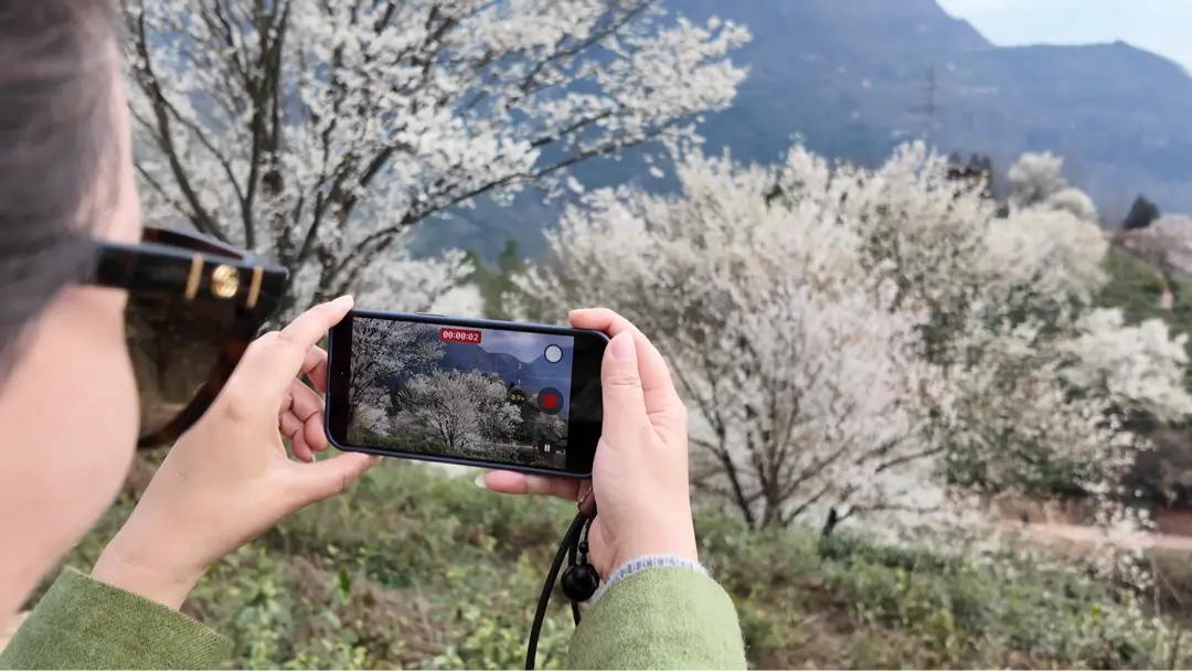 _绵阳春游踏青的地方_绵阳日落图片