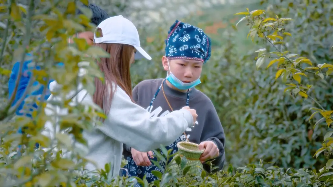 _绵阳日落图片_绵阳春游踏青的地方