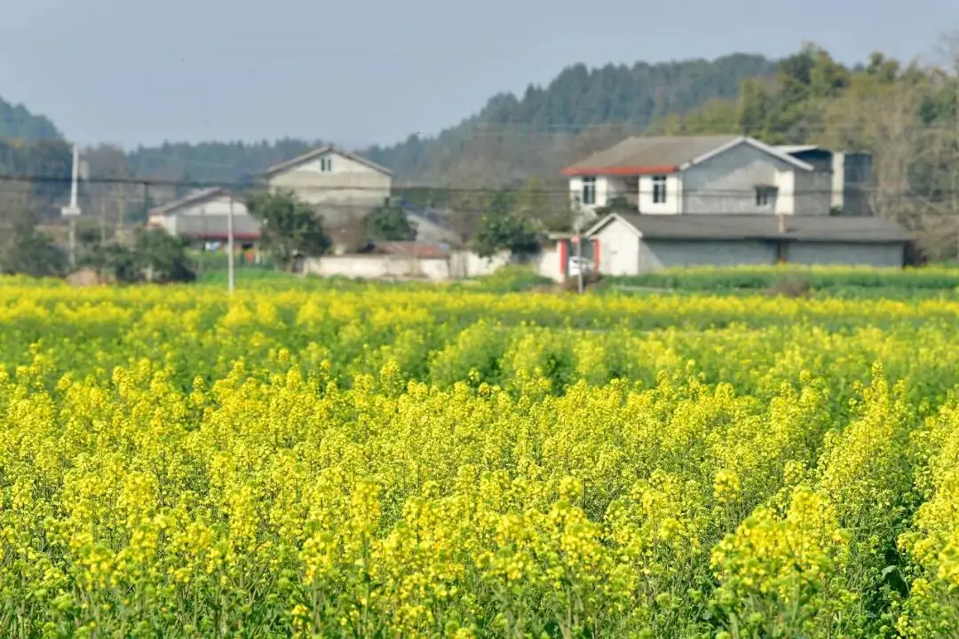 绵阳日落图片__绵阳春游踏青的地方
