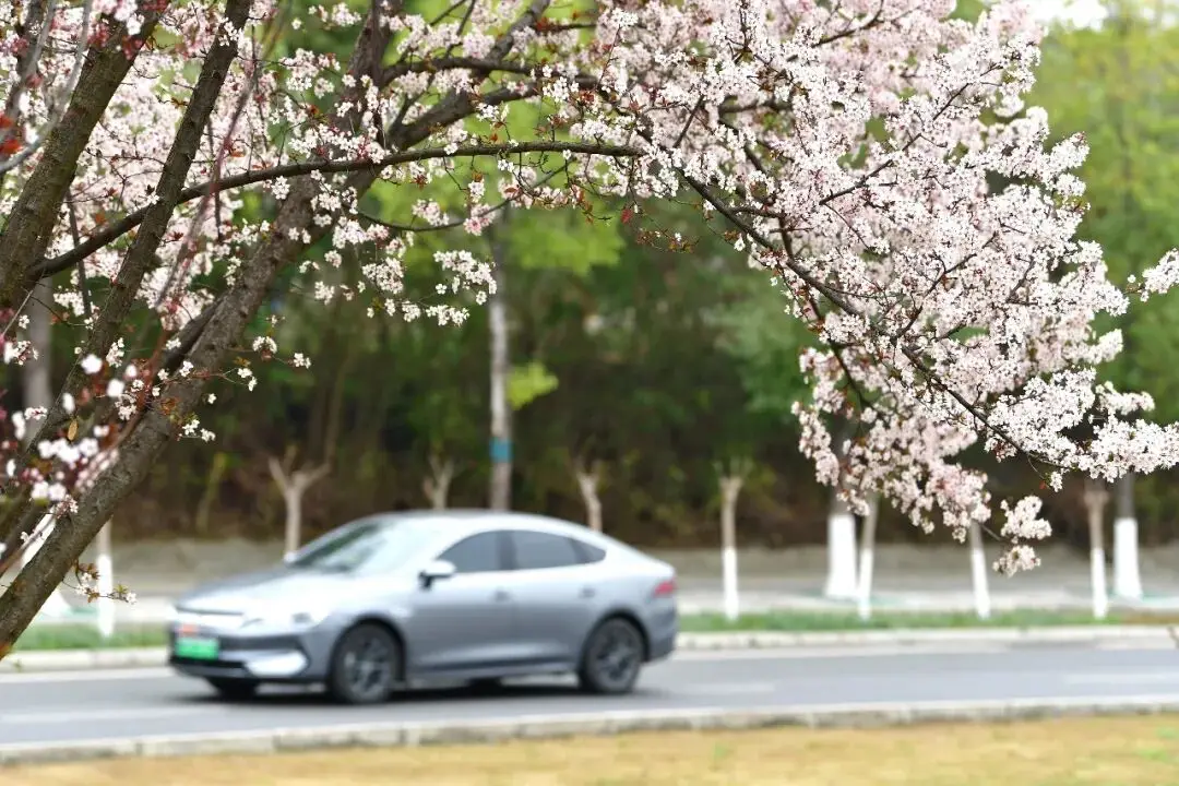 _绵阳春游踏青的地方_绵阳日落图片