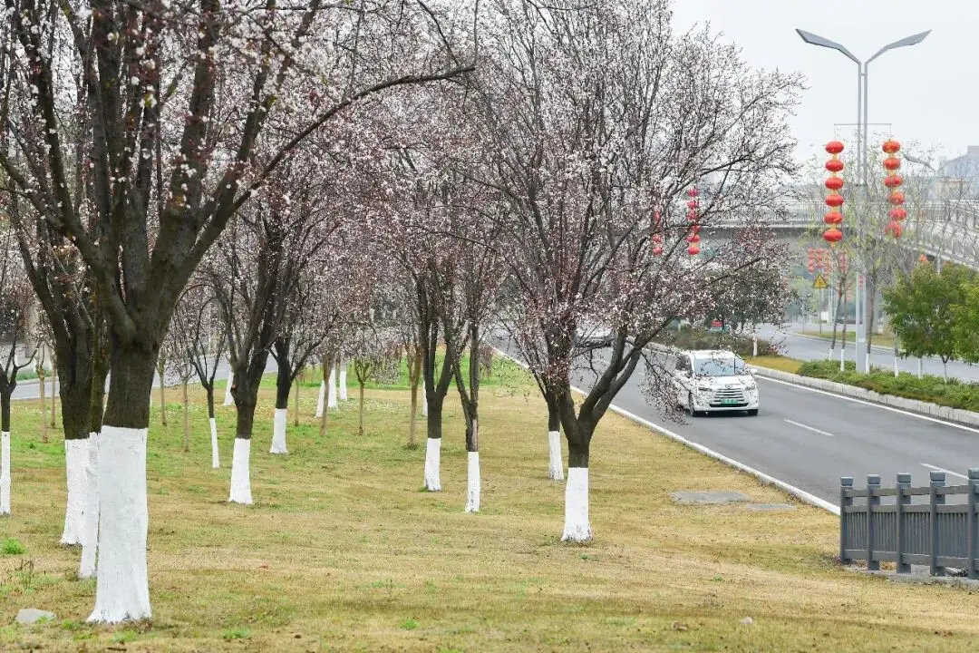 _绵阳春游踏青的地方_绵阳日落图片