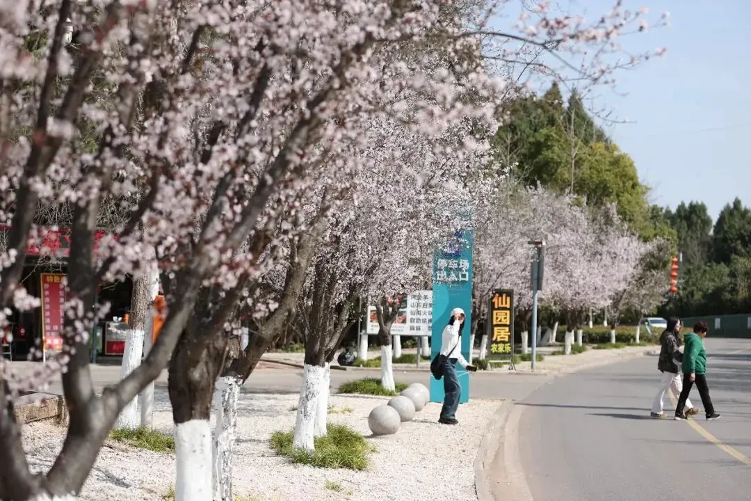 绵阳日落图片_绵阳春游踏青的地方_