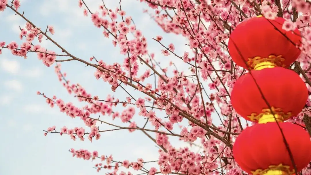 绵阳春游踏青的地方_绵阳日落图片_
